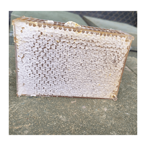 Top Products Hot Selling Honeycomb Cake from 99 Gold Data In Vietnam with Premium Quality Raw Honey Wax <b>Sweet</b> Dessert - Product Image 1