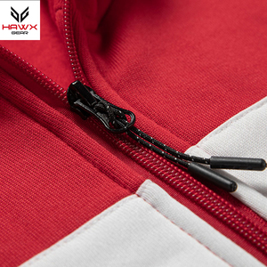 Vente en gros de sweatshirts à capuche en coton polyester et polaire pour hommes, manches longues, pull doublé, conception de la saison d'hiver, nouveauté - Product Image 3