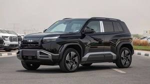 Leo Pard TITANIUM 3 EV 4WD 2025-2026 con Autonomía de 501-600 km y Potencia de 300 KW para Importación en Japón - Product Image 6