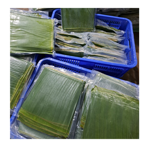 High Quality <b>Frozen</b> Banana Leaf Sheets Clean Processed <b>Frozen</b> Banana Leaf For Culinary <b>Decoration</b> - Product Image 2