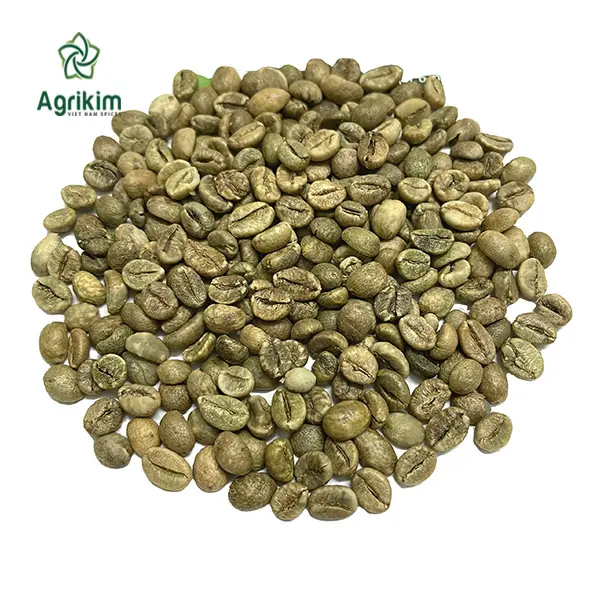 Tam sertifikalı ROBUSTA yeşil kahve çekirdekleri en iyi fiyat ve yüksek kalite ile güvenilir VIETNAM tedarikçisi + 84363565928