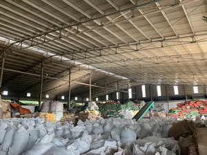 Pimienta Negra Seca de Alta Calidad de Binh Phuoc, Vietnam - Marca Agrikim, Certificada por ASTA, Lista para Exportar +84399521266 - Product Image 4