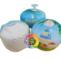 Boisson biologique à l'eau de coco fraîche prête à boire du Vietnam Pulpe douce pure de meilleure qualité-Caryln 0084935825297