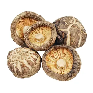 COMPRE EN GRANEL SETA SHIITAKE SETA DULCE SABOR FUERTE AROMA SETA LIMPIEZA