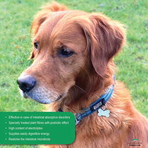 Alimento complementario dietético natural Damino Anipect para perros durante períodos con problemas de estómago y convalecencia posterior 300g - Product Image 4