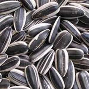 เมล็ดทานตะวันดิบและอาหารเม็ดสีดำสำหรับบริโภคของมนุษย์ม้าวัวหมูบรรจุในถุง - Product Image 5