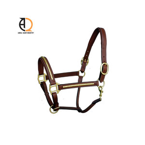 Licol en cuir anglais élégant et confortable, réglable en nylon, durable pour chevaux - Product Image 5