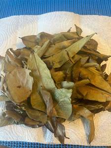 PRODUCTO DE TÉ NATURAL A PARTIR DE HOJAS DE URENSA SECA, VIETNAM, SABOR DE TÉ ÚNICO Y SUAVE - Product Image 4