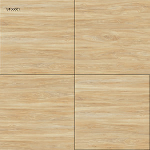 Azulejos de Piso Modernos de Alta Calidad con Acabado Brillante ST66001 60x60cm Resistentes al Desgaste Antibacterianos Antideslizantes para Baño y Decoración del Hogar - Product Image 1