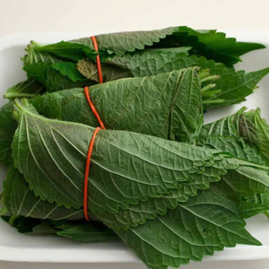 Perilla vietnamita cultivada de manera sostenible: su fuente de hierbas limpias - Product Image 1