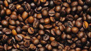 Café Robusta biologique premium, mélange de grains torréfiés, en vente - Product Image 5
