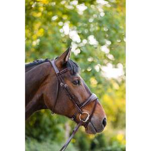 BRIDLE ANATÓMICO - Product Image 3