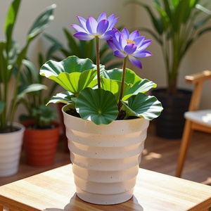 Pot de plante en forme de V-Vente en gros Multi Tall Wave Nice Pas cher - Product Image 4