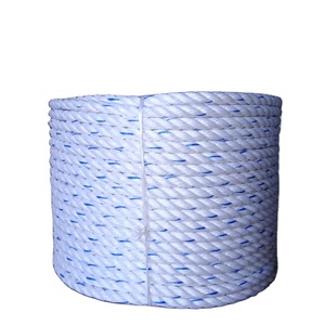 Danline 3-Strands Twisted PP Rope Marine-Grade Packaging for <b>Fishing</b> <b>Nets</b> Durable and Reliable - Product Image 5