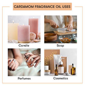 เมล็ดกระวานดิบและน้ำมันหอมระเหยสมุนไพรแห้ง - Product Image 2