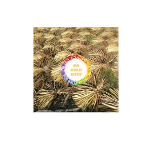 วัสดุผักตบชวาแห้งจากเวียดนาม ผักตบชวาธรรมชาติสำหรับงานฝีมือ ตะกร้า เฟอร์นิเจอร์ วัสดุผักตบชวา - Product Image 4