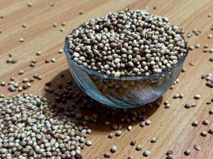 เมล็ดผักชีทั้งหมด-เมล็ดผักชีสำหรับขาย - Product Image 6