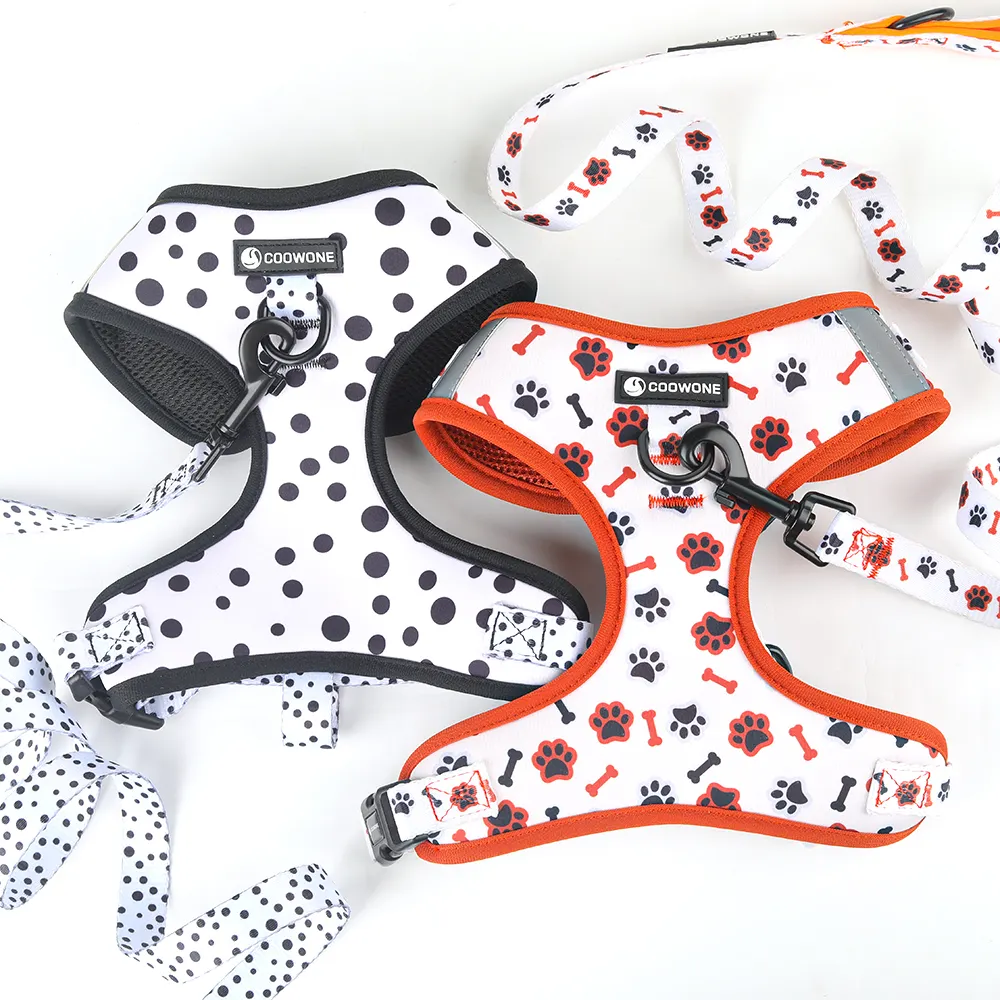 Popular Neoprene Dog Harness Set with Matching Dog Collar Leash Bow Tie and Bandana Set