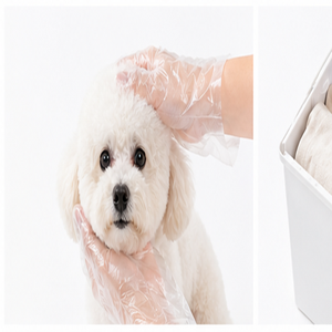 kangle Disposable PVC Food Handling <b>Gloves</b> Ultra <b>Thin</b> Waterproof Smooth Texture for Kitchen Use - Product Image 3