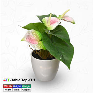Plante artificielle succulente tropicale Anthurium en pot pour table - Product Image 1