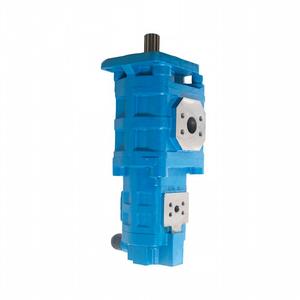 803013093 J2100 0010 Pompe de direction double tandem - Product Image 1