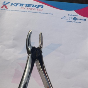 Fórceps de extracción Fig 19 terceros molares superiores Fórceps de extracción Premium Patrón inglés Juego dental Instrumentos quirúrgicos Pakistán - Product Image 6