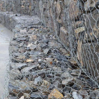 Malla de Alambre Hexagonal de Alta Calidad para Muros de Piedra y Proyectos de Protección Ambiental