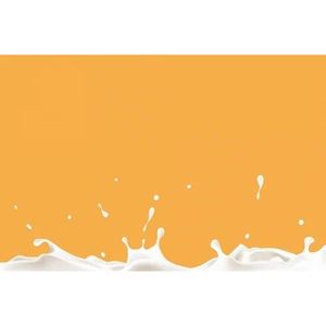 Línea de Producción de Pasteurizadores para Uso Industrial - Product Image 3