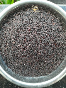 Arroz Negro Seco Pegajoso del Sur del Mekong, Saludable y Cumple con las Normas de la UE, Textura Suave. Contacta a Irene Luong +84 366 018 472 - Product Image 6