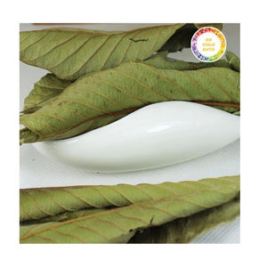 Hojas secas de guayaba procesadas naturalmente, perfectas para las compañías de té, fabricantes de cosméticos y marcas de hierbas - Product Image 1