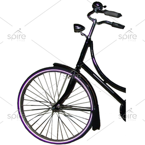 Horquilla de aleación de aluminio para Bicicleta de ciudad de renacimiento para mujer de una sola velocidad de alta calidad - Product Image 3