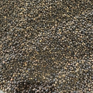 พริกไทยดำแห้งตราโทมัส เนยอง 60 กก. จากเวียดนาม รสเผ็ด แบบดิบ - Product Image 5