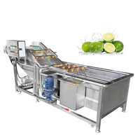 Automatische Aardappelui Reinigingsmachine Citroen Mango Aardbei Fruit Groente Bubbel Wasmachine