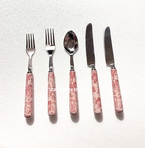 Acheter Direct Factory Set de table en acier inoxydable poignées en résine couverts service cuillère Set 5 pièces fabricant indien en acier miroir - Product Image 2