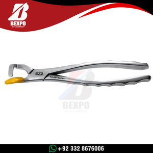 Juego de 2 fórceps para extracción de molares dentales, venta al por mayor, alta calidad - Instrumentos dentales de acero inoxidable para dentistas - Product Image 4