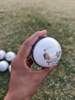 Pelota de Cricket Blanca Personalizada OEM, 4 Piezas, Cosida a Mano, de Cuero, para Entrenamiento, Resistente, Calidad Estándar Internacional, Logotipo Personalizado