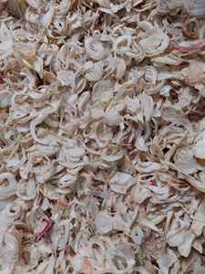 Premium <b>Dried</b> Shallot Wholesale Supply At Competitive Price - Product Image 4