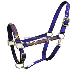 Équipement pour chevaux produits pour chevaux équestres Sangle en nylon de qualité supérieure fantaisie décorative licol en nylon pour chevaux en plusieurs couleurs et taille personnalisée - Product Image 1