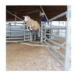 Tube carré en acier galvanisé à chaud personnalisé 2,0M-4,0M Clôture de jardin écologique avec des moutons du Vietnam - Product Image 2