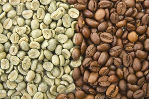 Grains de café arabica en gros – Approvisionnement en vrac pour hôtels, cafés et distributeurs - Product Image 2
