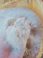 BAGASSE DE CANNE À SUCRE SÉCHÉE POUR BIOPLASTIQUE ET ENGRAIS EN GROS DANS LE MONDE AVEC PRIX ABORDABLE/BON PRIX EN 2024