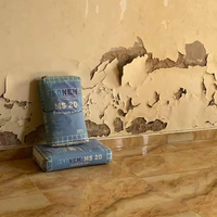 ISONEM Plâtre capillaire à base de ciment certifié CE, imperméabilisant pour murs, traitement spécial contre l'humidité et le sel, PRIX NÉGOCIALE