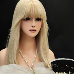 Hot Selling 2025 Best Quality 4x4 Silk Closure <b>Wig</b> 100% Raw Human Remy Hair Full Cuticle Wholesale Price - Product Image 1