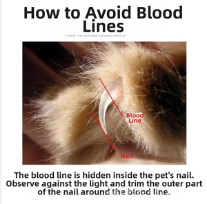 FLAMIA JABZ Cortaúñas Manual para mascotas, cuchillo de manicura de cabeza redonda de acero inoxidable para perros y gatos, amoladora de uñas para el cuidado de mascotas - Product Image 4