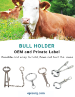 Support de nez de taureau à prix d'usine, acier inoxydable plaqué or (sans chaîne), outils réutilisables pour l'élevage de vaches et de bovins.