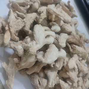 Producto agrícola fresco de raíz de jengibre seco a granel de alta calidad de Bao Tram Anh Company directamente de proveedor vietnamita - Product Image 2