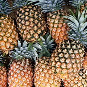 Ananas MD2 de haute qualité, ananas frais au miel sucré, prix d'exportation en vrac - Product Image 6