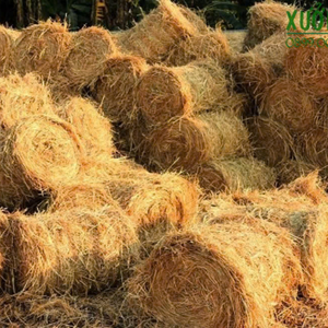 100% Nature Rouleaux de paille du Vietnam de haute qualité écologique, organique, déchets agricoles, stabilisation de la solution biodégradable - Product Image 6