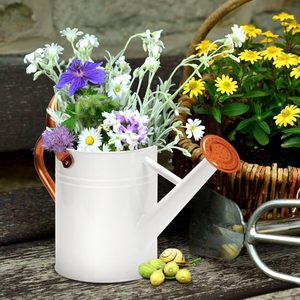 Confort classique L'arrosoir en métal pour votre jardin Saupoudrer d'arrosoirs en métal Grace pour votre jardin - Product Image 5