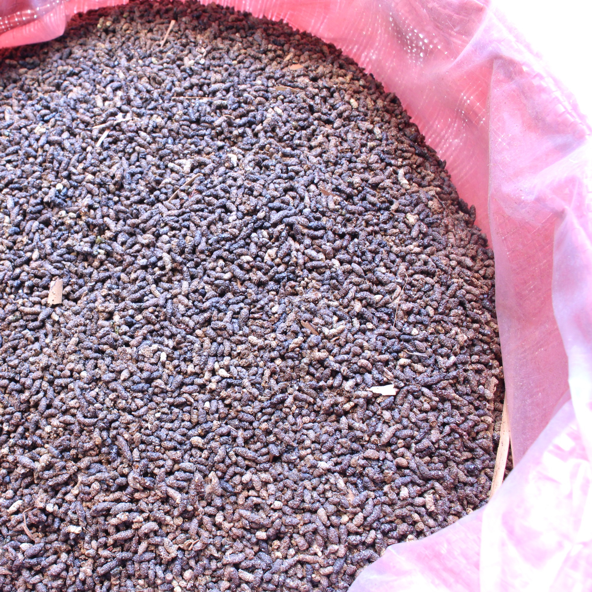 Bat Guano Organischer Dnger - 100 % rein, 500 kg Jumbo-Beutel
